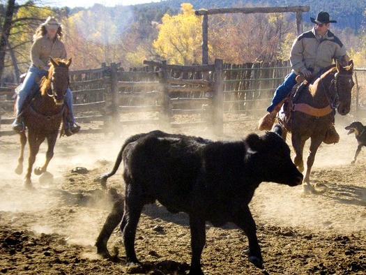 Cherry Creek Lodge