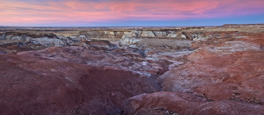 Petrified Forest National Park