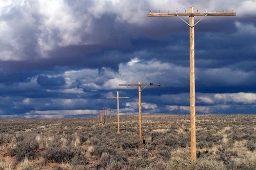 Petrified Forest National Park