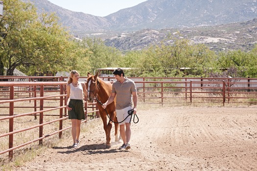 Miraval Resort and Spa