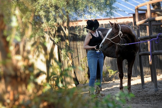 White Stallion Ranch