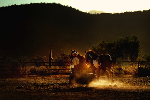 White Stallion Ranch