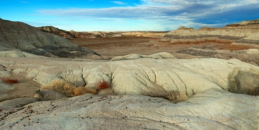 Petrified Forest National Park