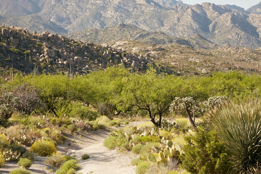 Miraval Resort and Spa