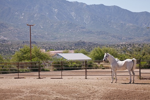 Miraval Resort and Spa