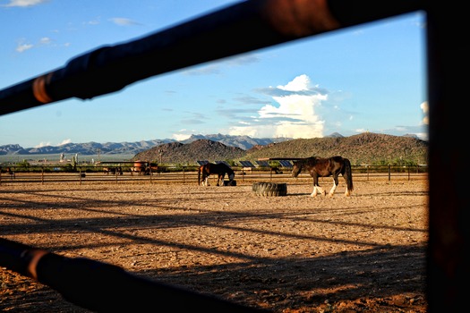 White Stallion Ranch