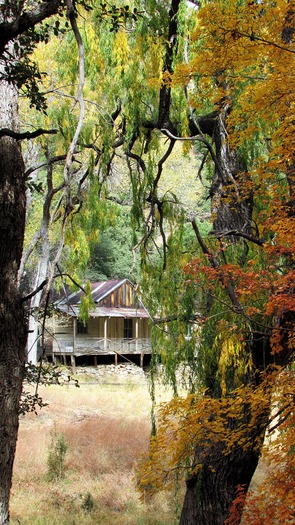 Ramsey Canyon Preserve