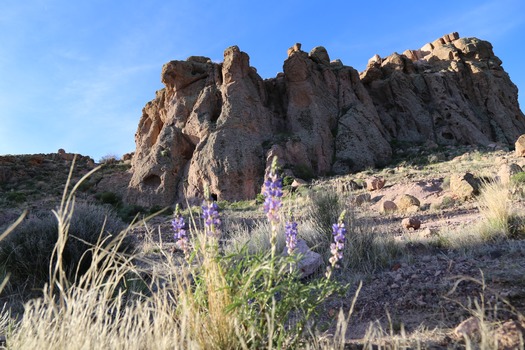 Cerbat Foothills Recreation Area