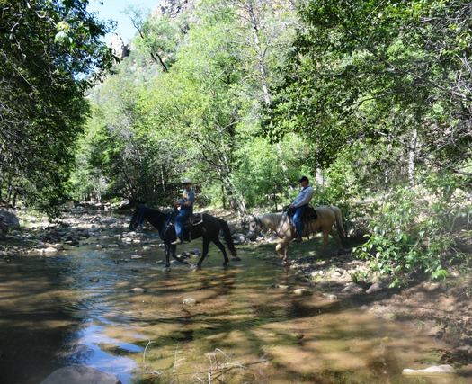 Cherry Creek Lodge