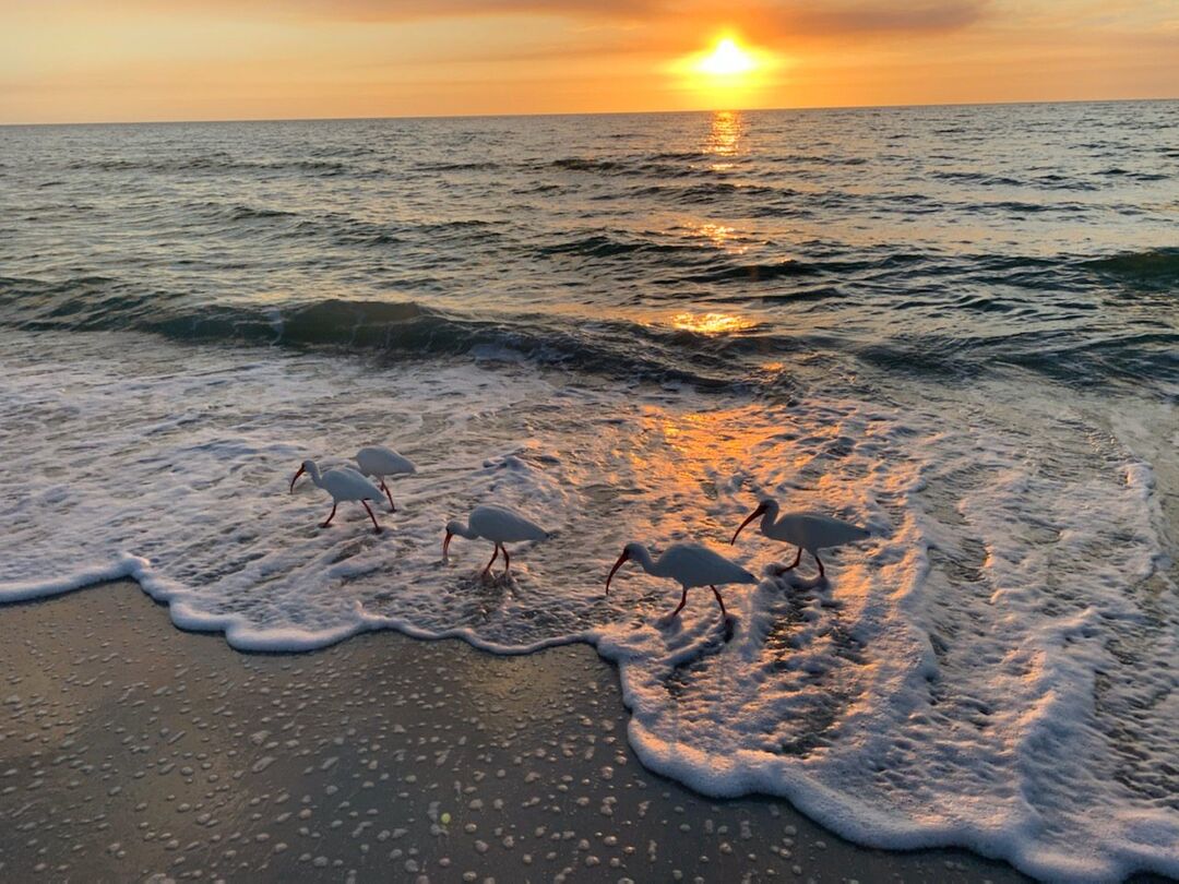 Anna Maria Island Sunset