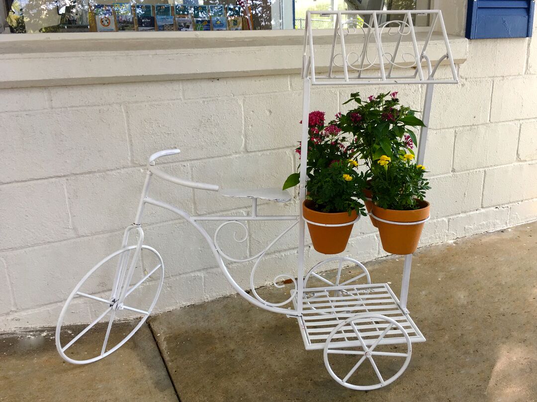 bike with flowers edited