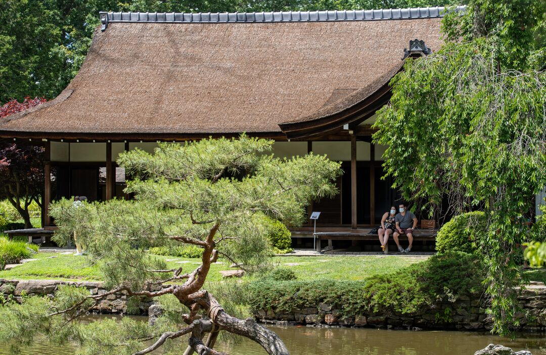 Shofuso Garden