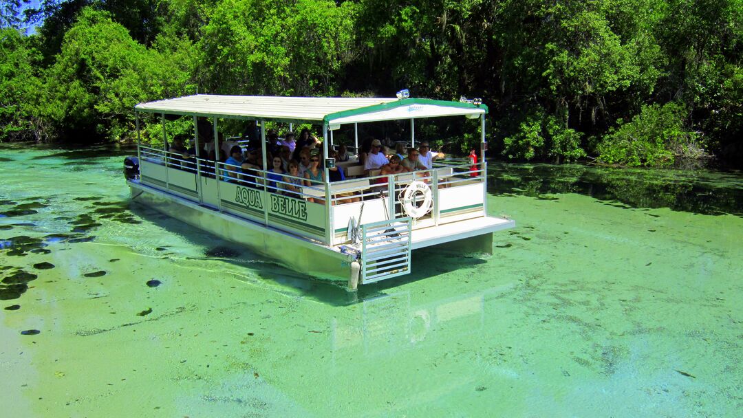 Weeki Wachee River Boat Ride