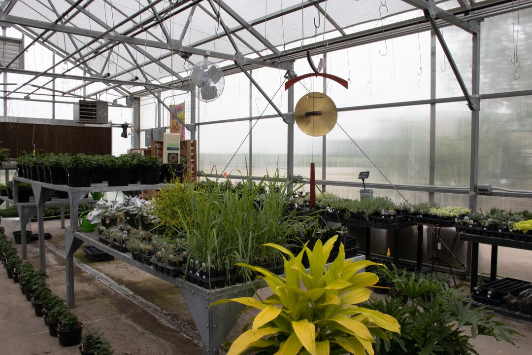 Harmony Nursery & Daylily Farm