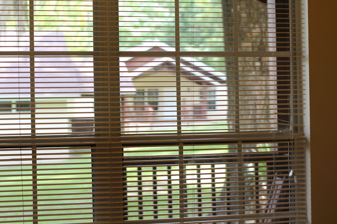 Chinsegut hill cabins