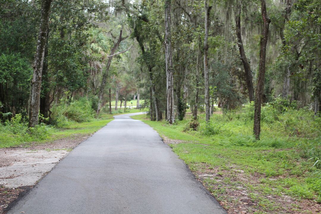 Chinsegut hill Driveway