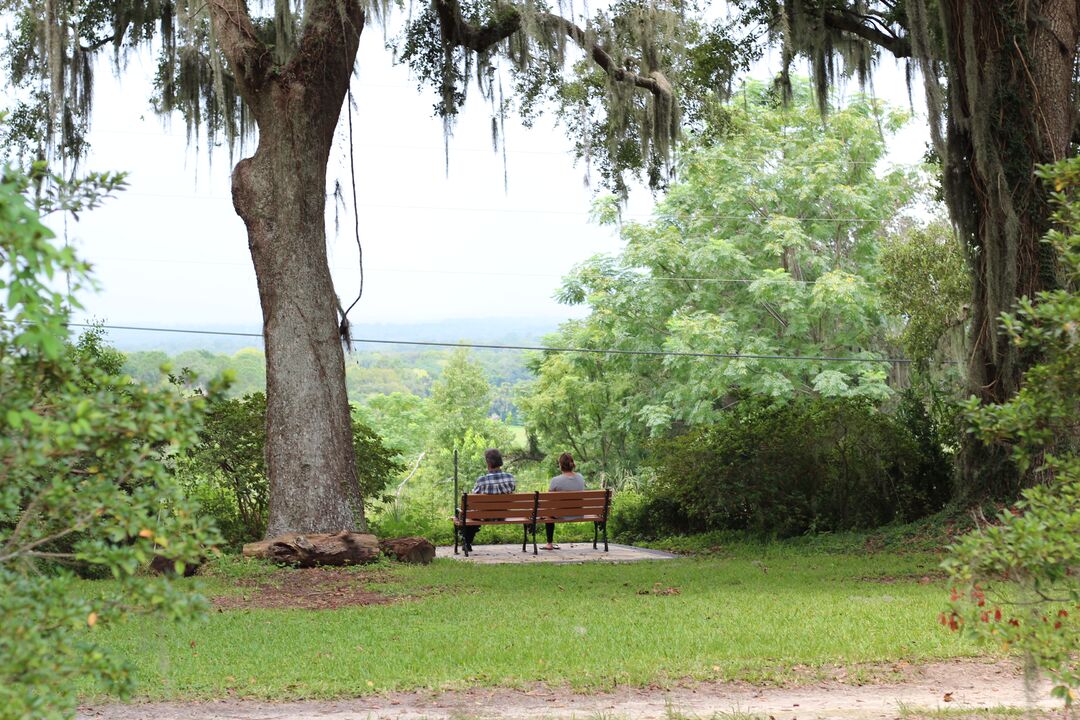 Chinsegut Hill Look out