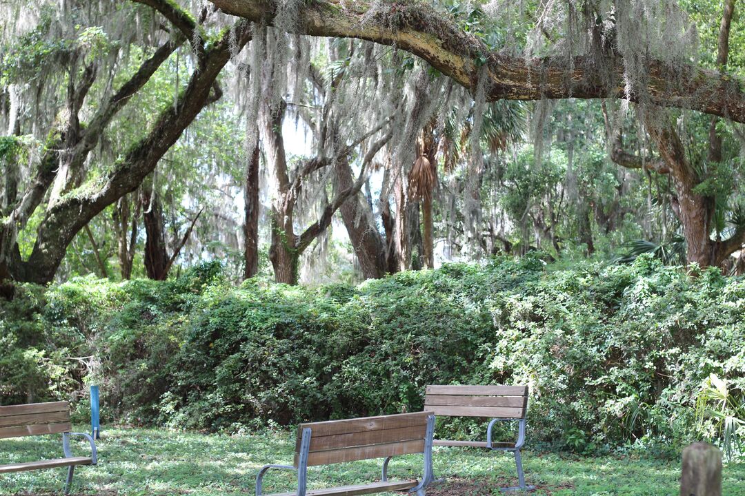 Chinsegut hill Cemetery Benches