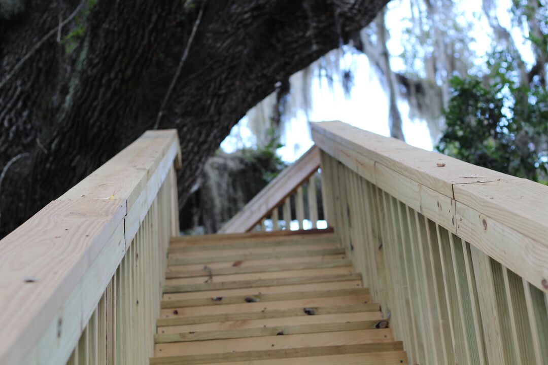 Chinsegut Hill New Live Oak Stairs