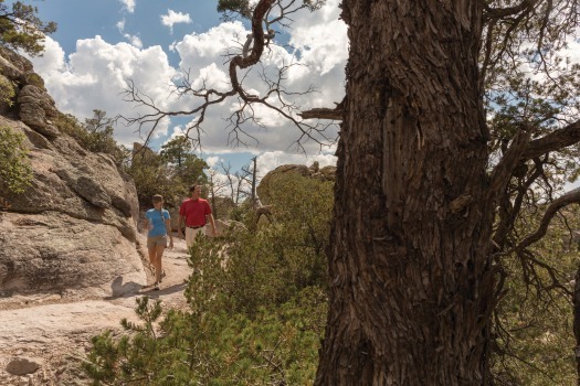 Chiricahua National Monument