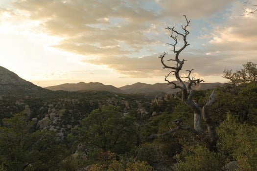 Chiricahua National Monument