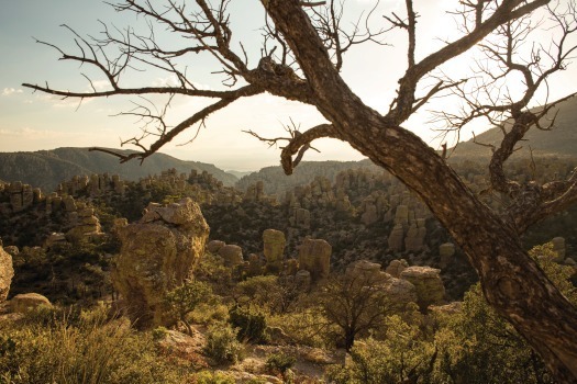 Chiricahua National Monument