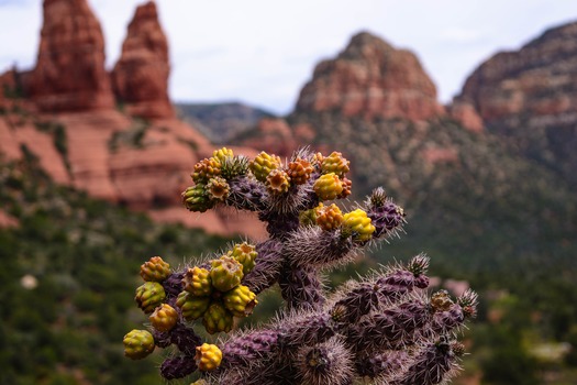 Sedona