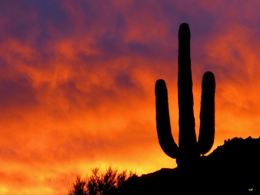 Superstition Mountains