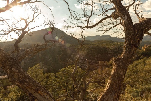 Chiricahua National Monument