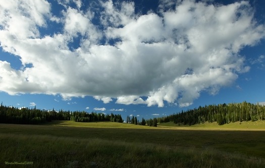 Kaibab National Forest