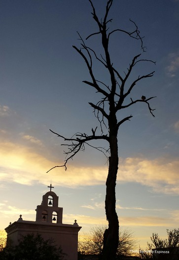 Mission San Xavier del Bac