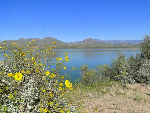 Theodore Roosevelt Lake