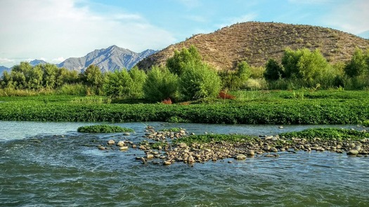 Gila River Scenery