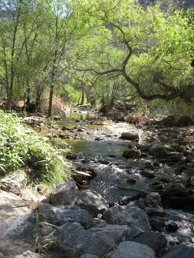 Sabino Canyon