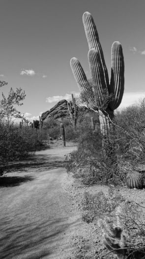 Botanical Gardens