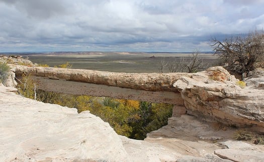 Petrified Forest National Park