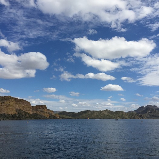 Saguaro Lake