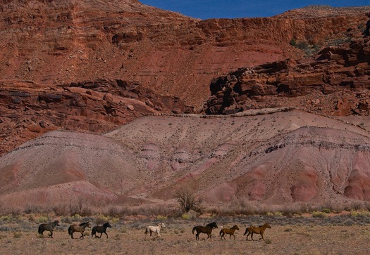 South of Page