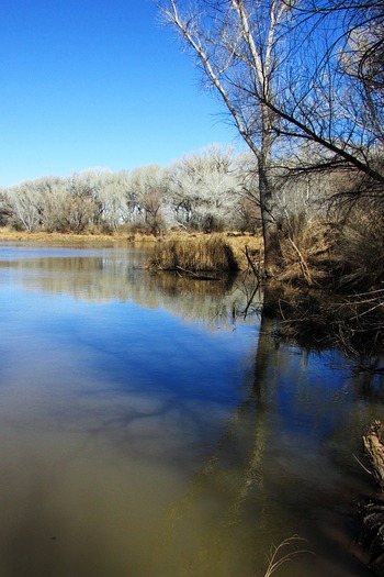 San Pedro Riparian Conservation Area