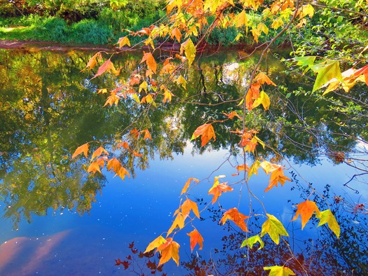 Sedona in the Fall