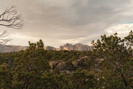 Chiricahua National Monument