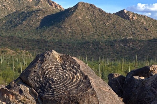 Saguaro National Park