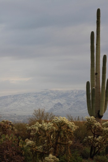 Tucson