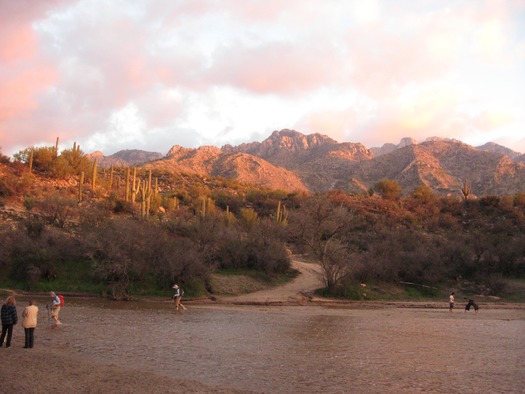 Catalina State Park