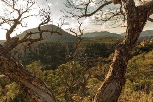 Chiricahua National Monument