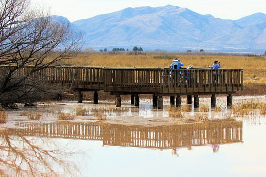 Whitewater Draw Wildlife Area