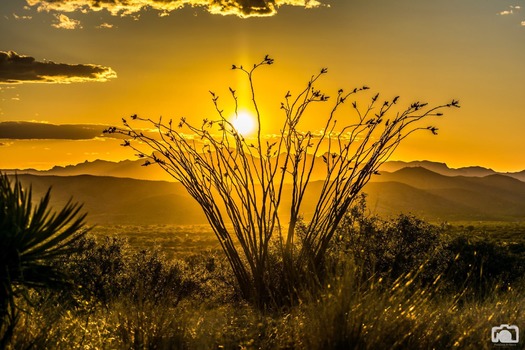 Mt Lemmon Sunset