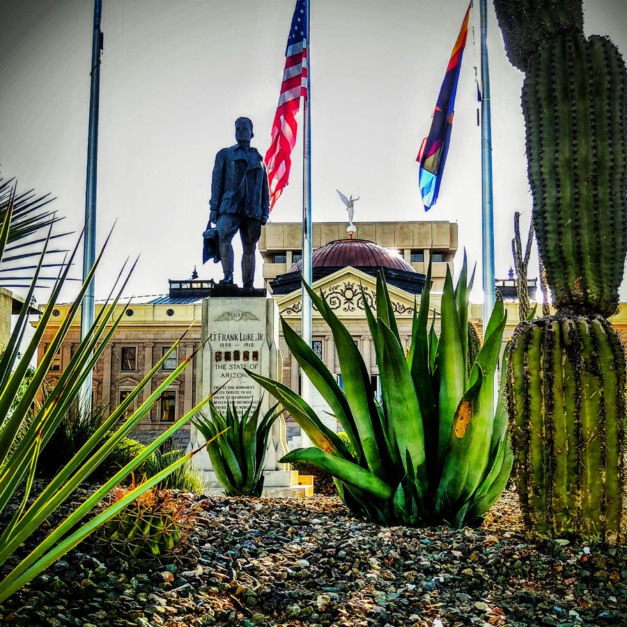 Arizona State Capitol_credit Aaron McDonald