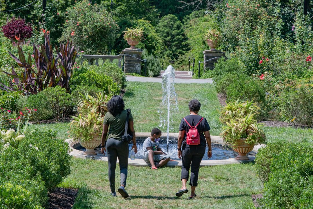 Morris Arboretum