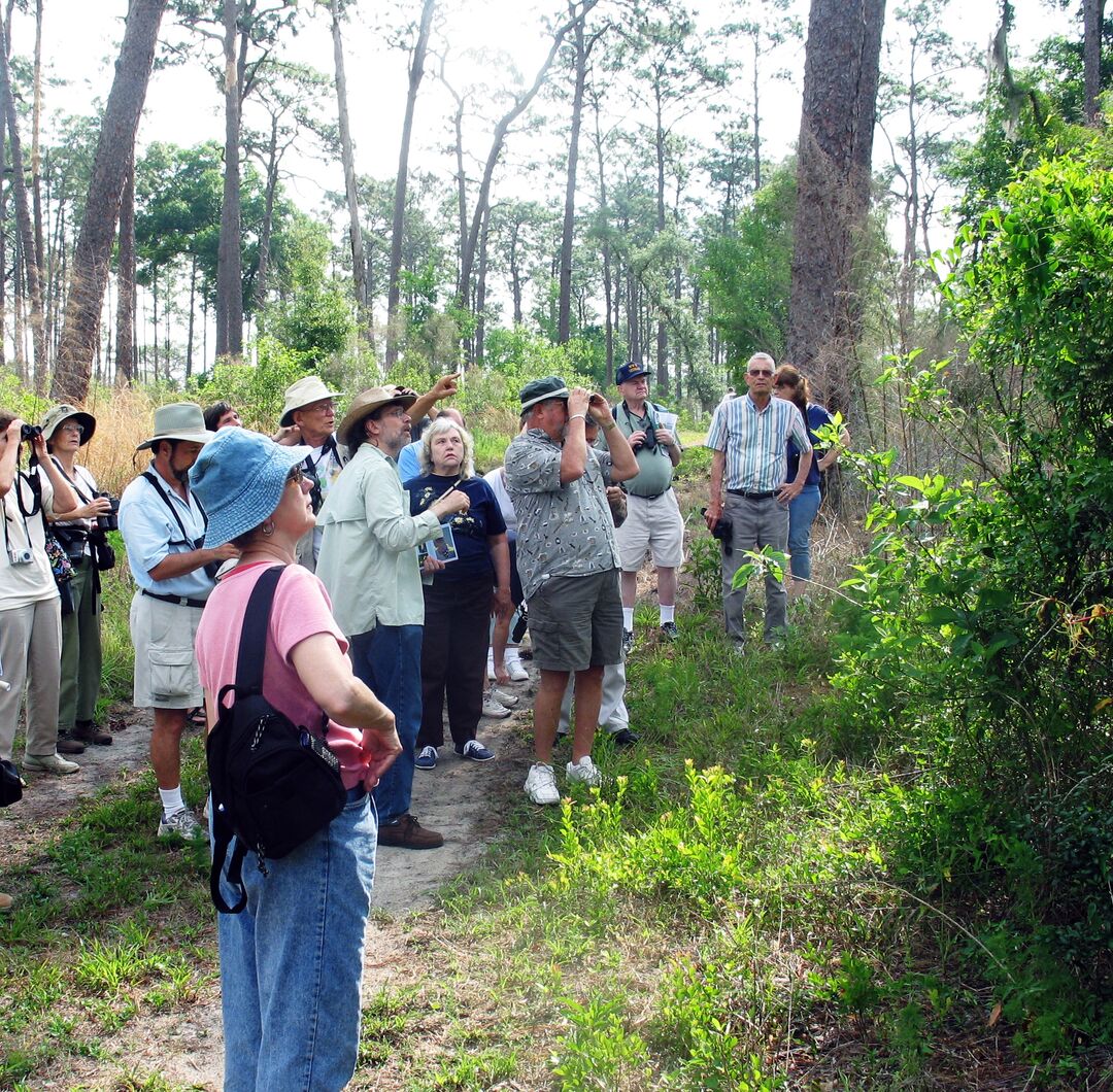 Birdwatching group